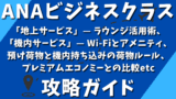 ANAビジネスクラス攻略ガイド：「地上サービス」— ラウンジ活用術、「機内サービス」— Wi-Fiとアメニティ、預け荷物と機内持ち込みの荷物ルール、ラウンジ、 プレミアムエコノミーとの比較、マイル活用術まで徹底解剖